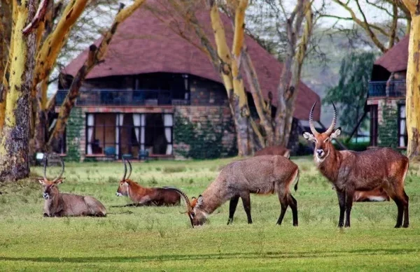 ed225f_394a24d872d14f1ca72914add0e84511_mv2