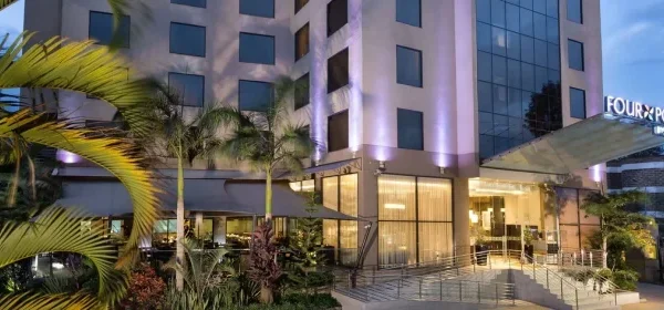 ed225f_1625edd1a9674713a39594f096774ef6_mv2