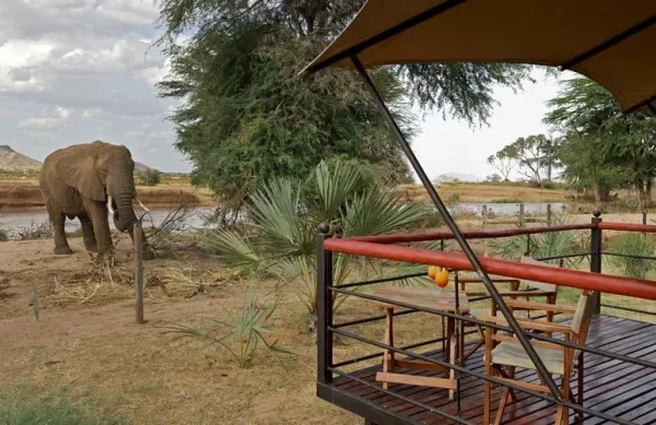 ed225f_75757a94960844dca97a2a9e6c5813a6_mv2