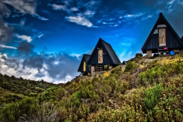 ed225f_4cee63426b2e4c839574561eaa37a8f7_mv2_d_2880_1800_s_2 ed225f_4cee63426b2e4c839574561eaa37a8f7_mv2_d_2880_1800_s_2