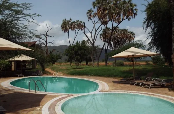 ed225f_5c5d37a6aab548debfec23c16786bb46_mv2