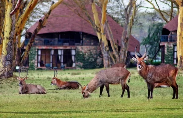 ed225f_8230d542eb0f4abc96a57ec7b8255003_mv2