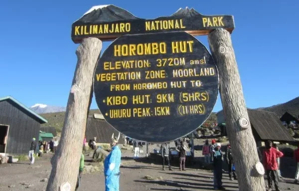 ed225f_8eae9f1a93ec49169c4ddb967f557e7e_mv2