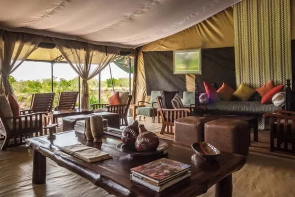 ed225f_fe530b27794e4574b2113c7b7254c524_mv2