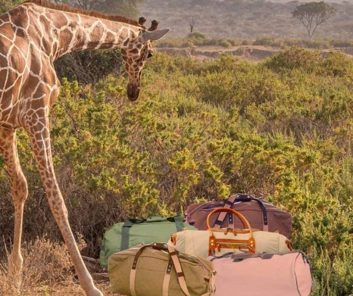 Safari turu için çantanızı hazırlayın.